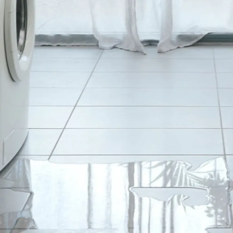 Appliance Leak Cleanup in Van Alstyne, TX