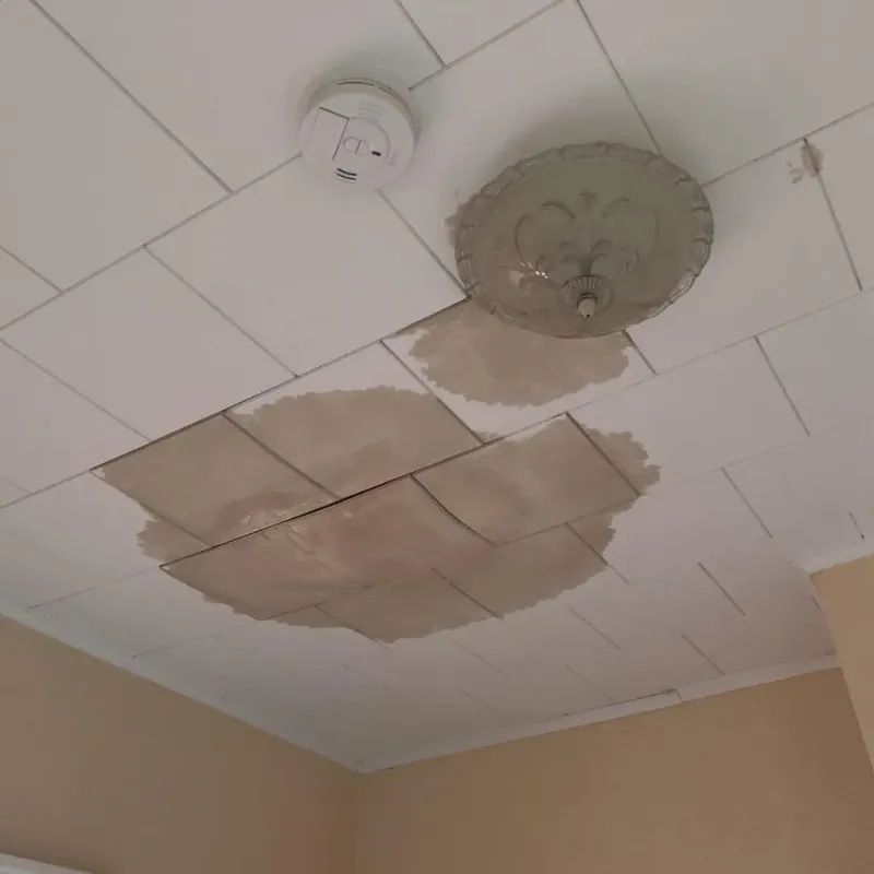 Ceiling Water Damage Repair in Van Alstyne, TX