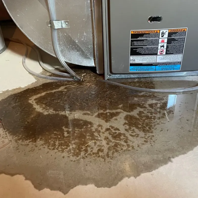 Pipe Burst and Leak Restoration in Van Alstyne, TX