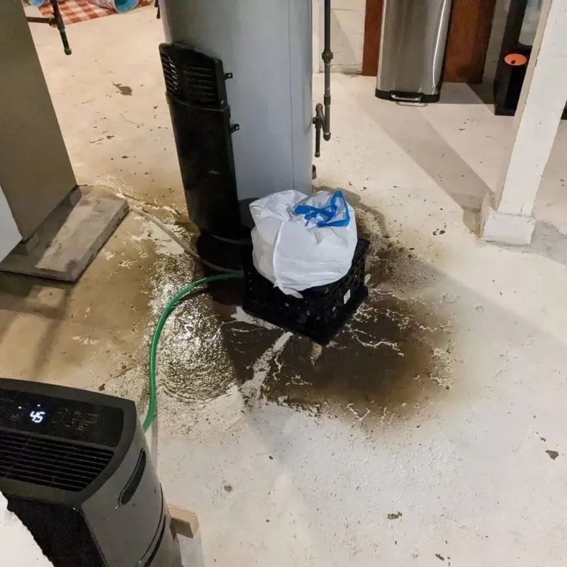 Sewage Backup Cleanup Service in Van Alstyne, TX